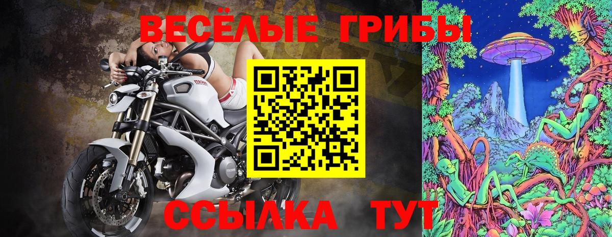 Псилоцибиновые грибы GOLDEN TEACHER  Галлюциногенные грибы Psilocybine cubensis  Вход с VPN  Калуга 